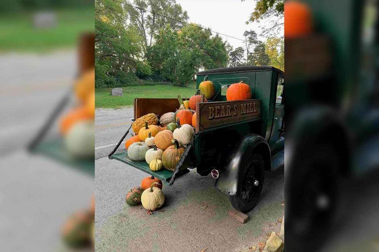 Welcome Fall at Bear’s Mill