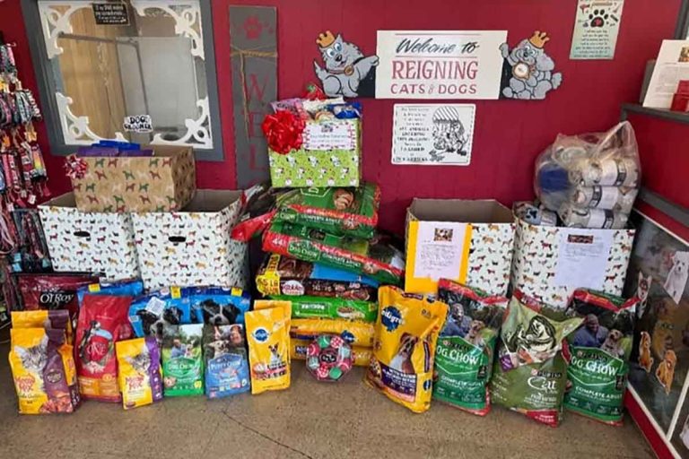 Donation Drive for Darke County Animal Shelter a big success