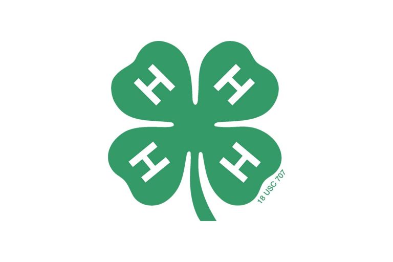 Jackson Friendship 4-H Club holds first meeting of the year