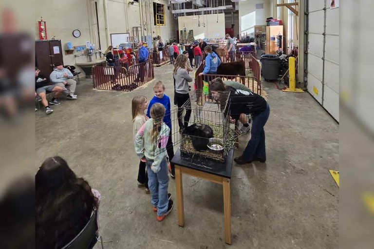 Ansonia FFA hosts elementary petting zoo