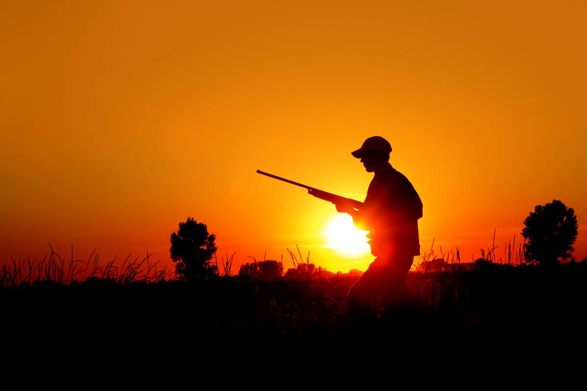 hunting