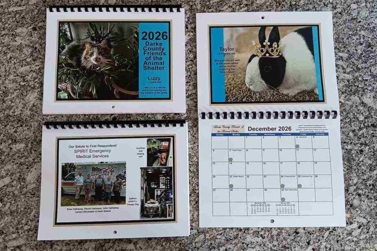 dcfos calendars