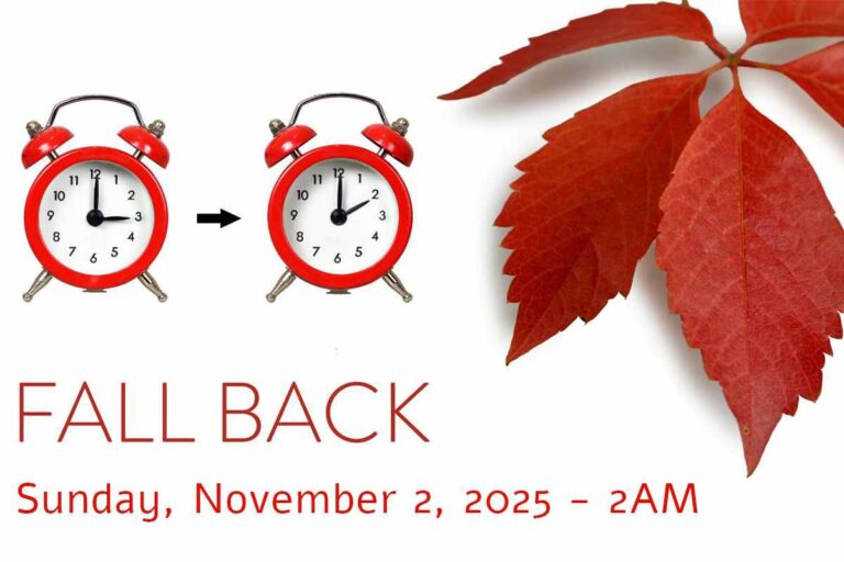 fall back daylight saving end 1