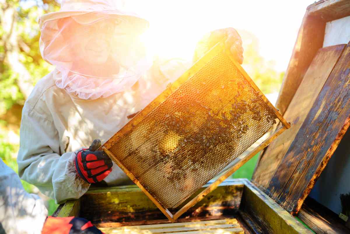 beekeeper