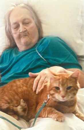 dianne-gibbons-greenville-oh-obituary