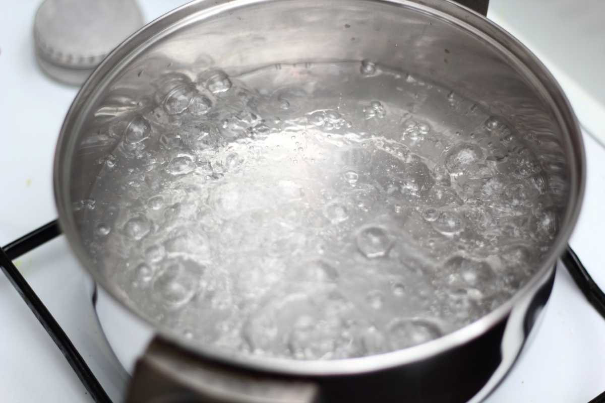 water boil 2