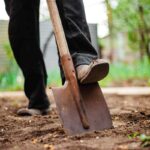 digging