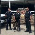 gpd k9 5-2026
