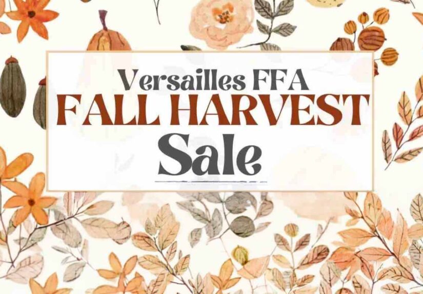 harvest sale feat