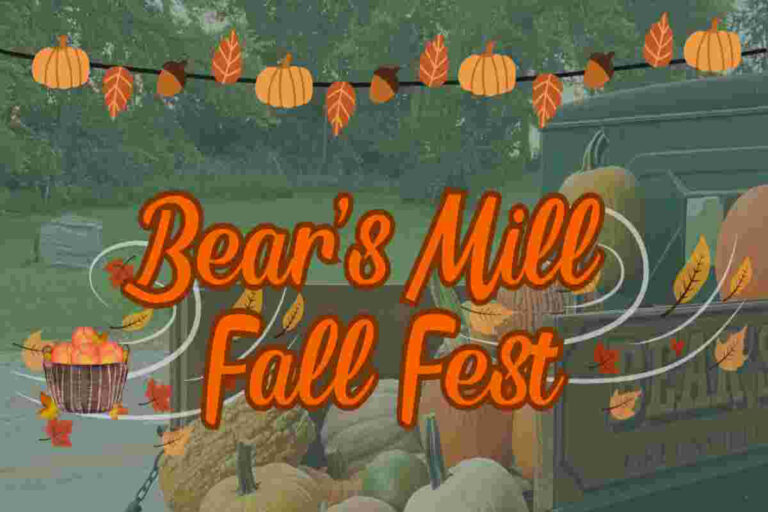 Fall Fest - Insta feat