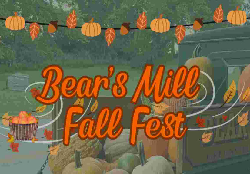 Fall Fest - Insta feat