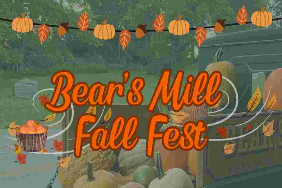 Fall Fest - Insta feat